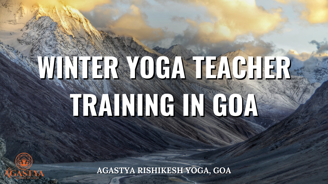 Winter Yoga Teacher Training in Goa