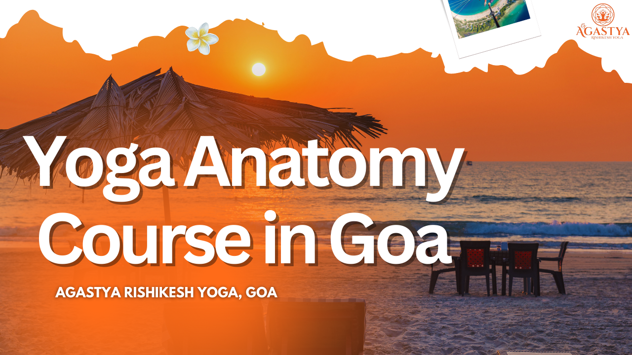 Yoga Anatomy Course in Goa