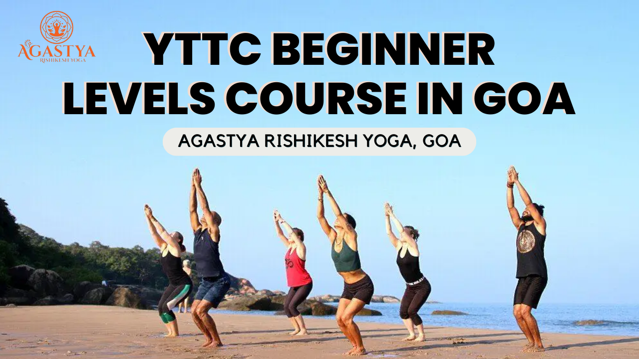 YTTC beginner levels course in Goa