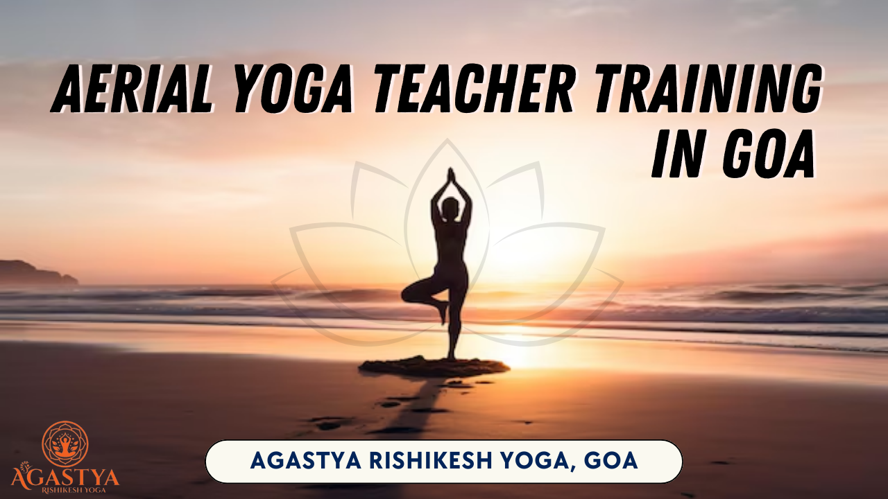 Aerial Yoga Teacher Training Certification Goa