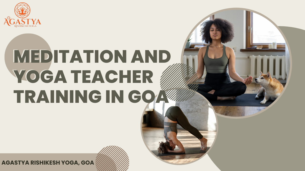 Meditation and Yoga Teacher Training in Goa